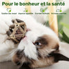 [Santé Dentaire] Jouet Interactif pour Chat en Rotin | Forme de Balle | Rotin | Mâcher et Jouer, Santé Dentaire et Nettoyage des Dents | Chats d'Intérieur | Convient à Toutes les Races, Sans Pile