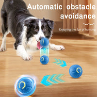 Jouet Interactif pour Chiens avec Balle Électrique Sautante - Durable et Sécurisé pour Chiens de Petite à Moyenne Taille - Gardez Votre Animal Diverti et Prévenez la Mastication Déstructrice