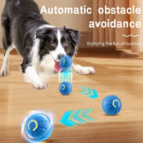 Jouet Interactif pour Chiens avec Balle Électrique Sautante - Durable et Sécurisé pour Chiens de Petite à Moyenne Taille - Gardez Votre Animal Diverti et Prévenez la Mastication Déstructrice