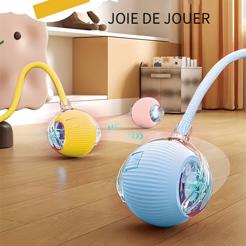 AutoRoll LED Cat Ball ⚡
