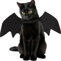 BatWings Halloween Costume 🦇