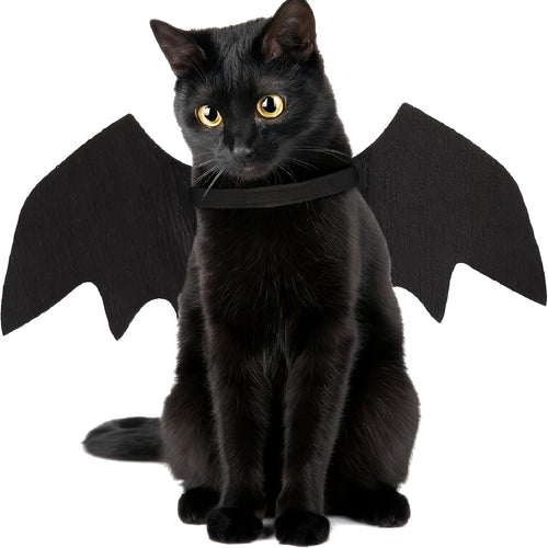 BatWings Halloween Costume 🦇