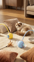 AutoRoll LED Cat Ball ⚡