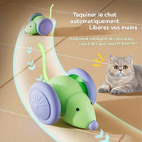 Balle Jouet Intelligente Interactive pour Chat BonreLife, Roulage Automatique avec Lumières LED Clignotantes, Rechargeable par USB, Fabriquée en Matériau Résistant aux Morsures et Sûr. Idéale pour les Chats d'Intérieur pour Jouer Seuls. Cadeau Parfait po