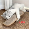 ScratchPad Cat Cushion 🐱